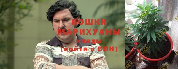 дживик Гусев