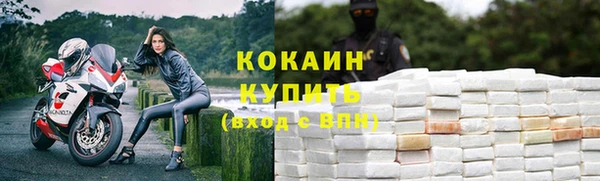ГАЛЛЮЦИНОГЕННЫЕ ГРИБЫ Гусиноозёрск