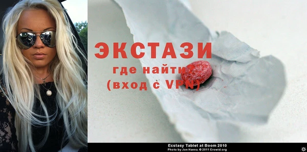 эйфоретик Гусь-Хрустальный