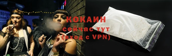 эйфоретик Гусь-Хрустальный