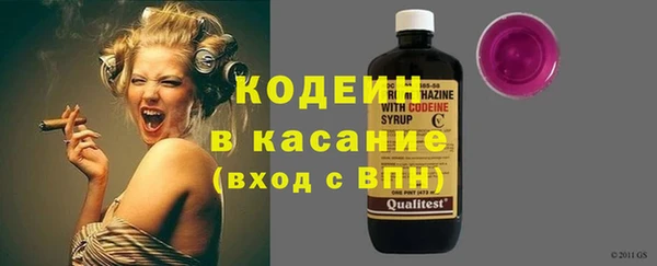 эйфоретик Гусь-Хрустальный