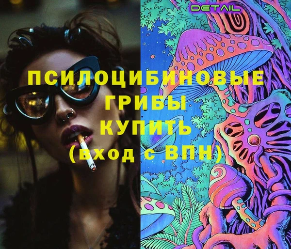 ГАЛЛЮЦИНОГЕННЫЕ ГРИБЫ Гусиноозёрск