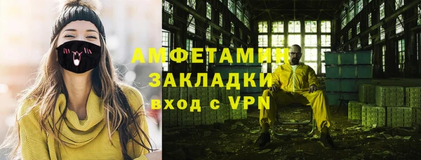 эйфоретик Гусь-Хрустальный