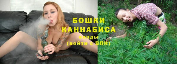 эйфоретик Гусь-Хрустальный