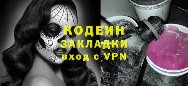 эйфоретик Гусь-Хрустальный