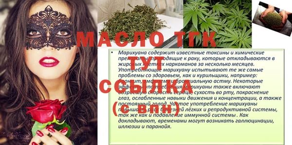 эйфоретик Гусь-Хрустальный