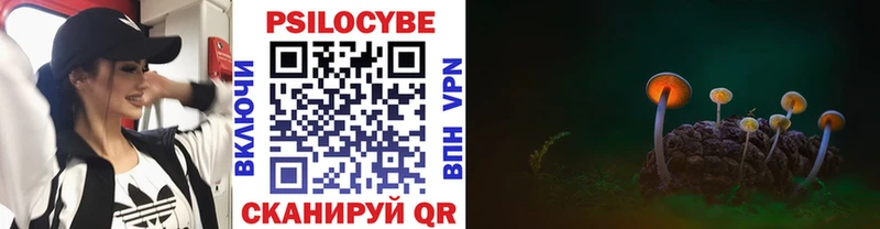 Псилоцибиновые грибы Psilocybe  Купить закладки  Белый 